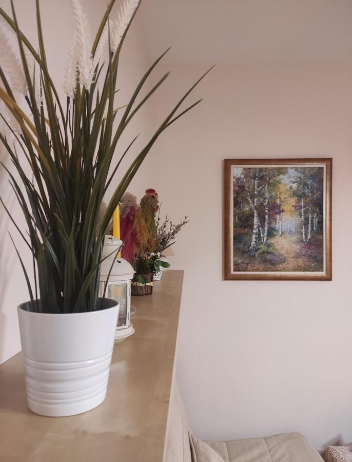 Apartamenty Przytulny - Pod Aniolem Kazimierz Dolny Buitenkant foto